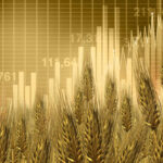 كيفية التداول في أسواق القمح ؟