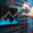 تقرير الأسواق العالمية – أبرز التطورات الاقتصادية والأسعار حتى 2 يونيو 2025