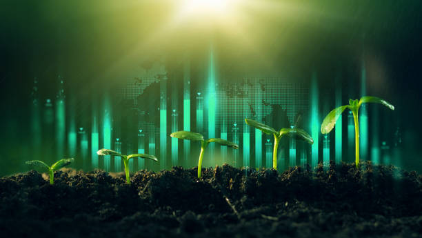 الأسهم السعودية: كيف تختار السهم الرابح؟