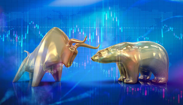 الفرق بين الدببة والثيران في أسواق المال